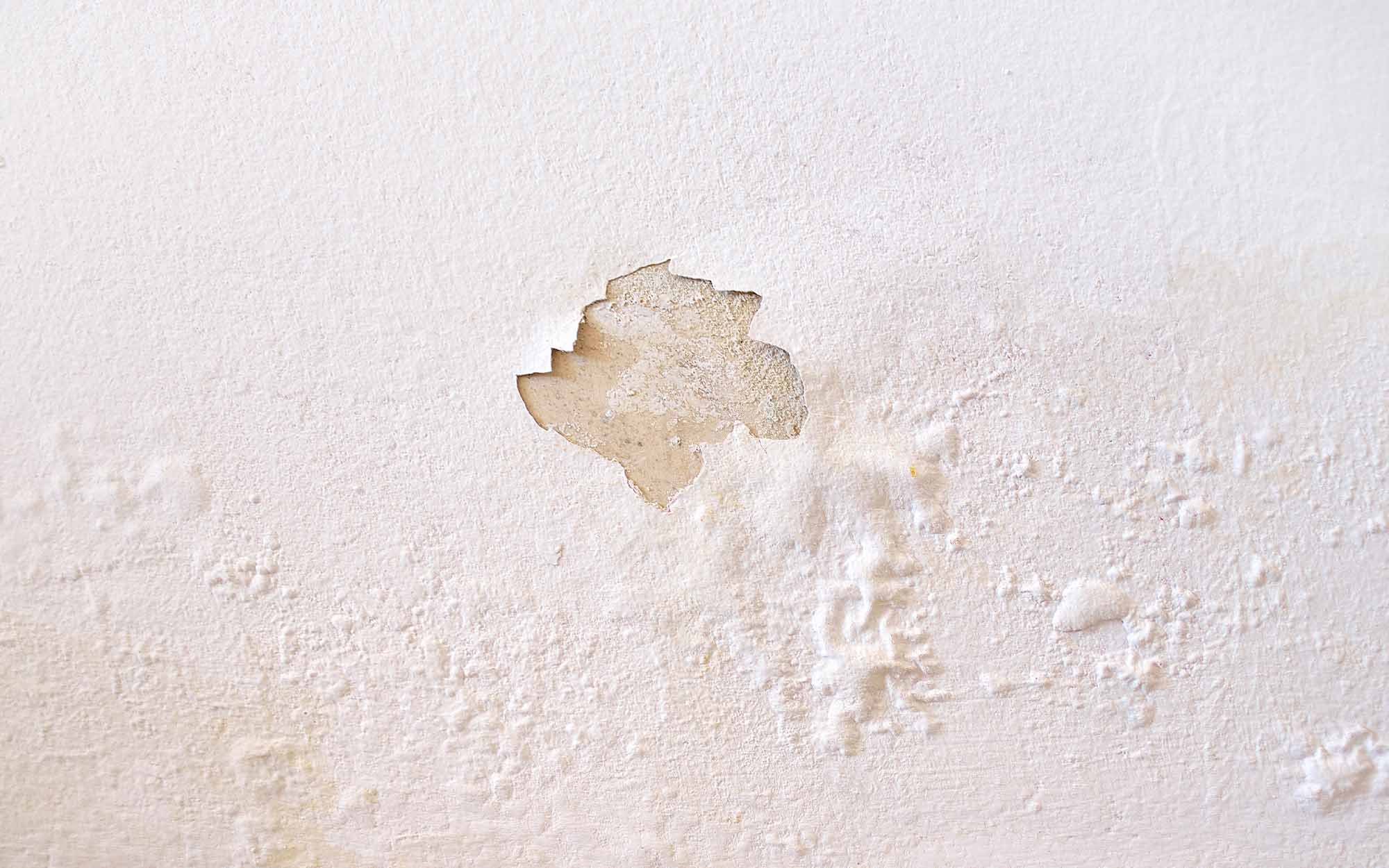 Common Causes of Roof Leaks Floridian Roofing